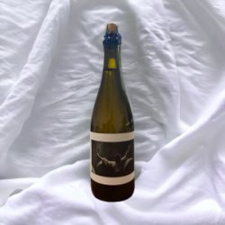 Cache Cache 2023 (Assemblage) - BAF - Bière Artisanale Française