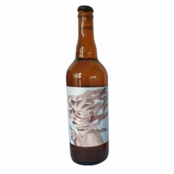 Arcka Maïa 75 cl  DLUO passée - RB-and-Beer