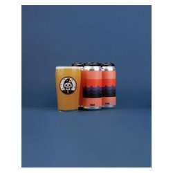 Messorem  Flotter Sur La Mer Morte