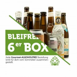 Craft Bier Box 6 alkoholfrei - Biertipp