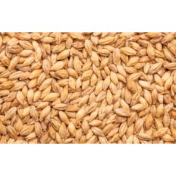 Best Red X - 1Kg - BrewCraft