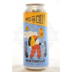 Dieu du Ciel! Sentinelle lattina 47.3cl - AbeerVinum