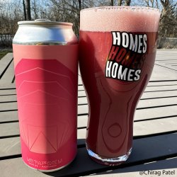 HOMES Brewery. Metaform [Raspberry] - Brew Export