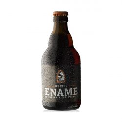 Roman Ename Dubbel - Elings