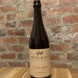 Trial & Ale  A saison apparent - The Cat In The Glass