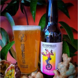 Tropical Gose - L’Art de la Bière