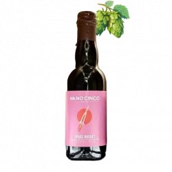 Nano Cinco Space Rocket