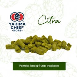 Citra YCH 2022 - Malt Insumos