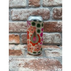 Polly's Waiting For You DDH NZ IPA - 44 CL - House of Beers Uden