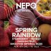 Nepomucen Spring Rainbow 500ml Nepomucen Spring Rainbow 500ml