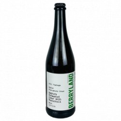 Berryland Amphora Fermented Cider With Rkatsiteli