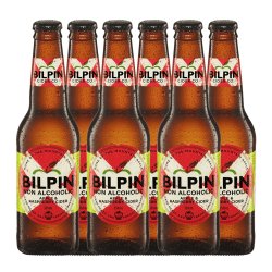 Bilpin Non-Alcoholic Apple and Raspberry Cider 330mL - Craftzero