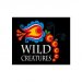 Wild Creatures Cuvée de Kienberg 0,33l Belgian Fruit Lambic Wild Creatures Cuvée de Kienberg 0,33l Belgian Fruit Lambic