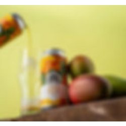 Vault City Brewing Triple Fruited Mango