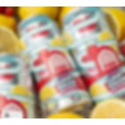 Vault City Brewing Pink Cloudy Krush