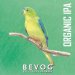 Bevog Extinction Is Forever!: Orange Bellied Parrot 0,33l Bevog Extinction Is Forever!: Orange Bellied Parrot 0,33l