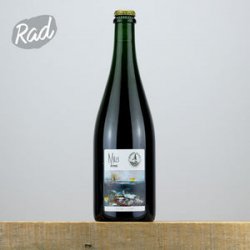 Mills Brewing Stingo - Light