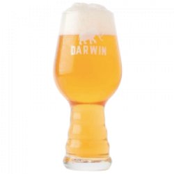 Vaso IPA Darwin - Mefisto Beer Point