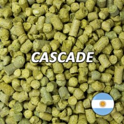 Lúpulo Cascade - Lúpulos Andinos - Silo Cervecero