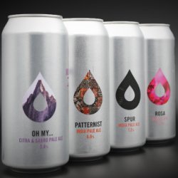 Polly’s Icons Box 12-pack - Polly’s Brew Co.