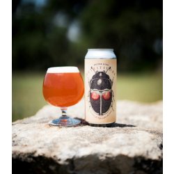 Cloudwater Jester King - Detritivore  Farmhouse Ale with second-use Cherries - Cloudwater