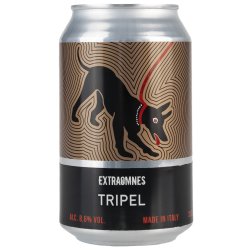 Tripel: birra di birrificio Extraomnes  Maltese - Maltese