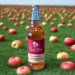 Snailsbank - Rhubarb Cider (500ml) 