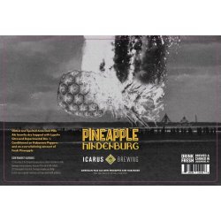 Icarus Brewing Pineapple Hindenburg 4 pack 16 oz. Can - Vine Republic