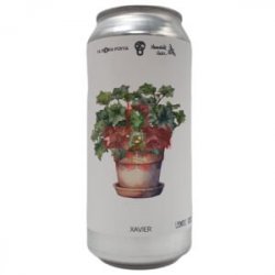 La Pirata Brewing  Xavier 44cl - Beermacia