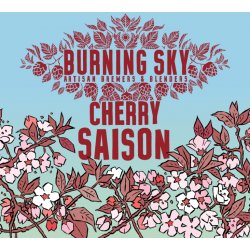 Burning Sky Cherry Saison - Burning Sky Brewery