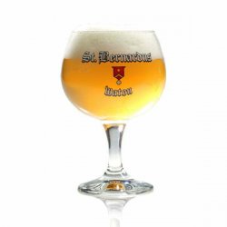 Copa St. Bernardus Extra 330ml - Barbudo Growler