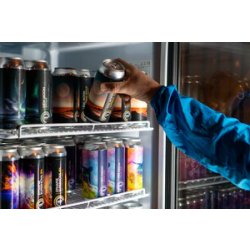 Pipeline Brewer's Choice 6 and 12 Packs - 440ml Can Selection - Pipeline Brewing Co