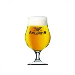 Taça ria Antuérpia 400ml - CervejaBox