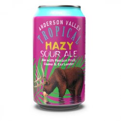 Anderson Valley Brewing Co. Tropical Hazy Sour Ale - Beer Force