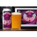 Northern Monk 4 PACK  STEVEN YOYADA  HEATHEN SOUNDS  HIDDEN MOTHERS  PASSIONFRUIT PALE ALE  4.5% 