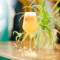 Track Brewing Glassware Bundle - Track Brewing Co.