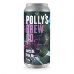 Polly’s The Hop Studio  HBC 586 Pale Ale 5.4% - Polly’s Brew Co.