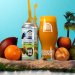 Vault City Brewing Summer Down Under - Smoothie Sour 