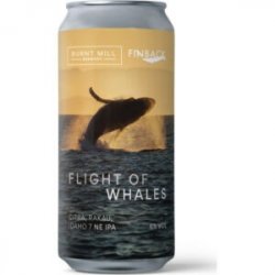 Burnt Mill Flight Of Whales - The Independent