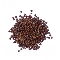 Grains of Paradise - 100g - BrewCraft