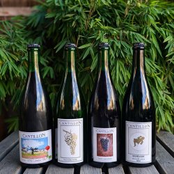 Cantillon - PACK: St. Lamvinus  Vigneronne  Gueuze  Kriek - Muted Horn