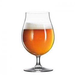 Copa Spiegelau Beer Classics Pils 400 ml - Sabremos Tomar
