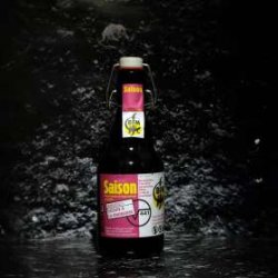 BFM BFM - Saison Rhubarbe - 6% - 33cl - Bte - La Mise en Bière