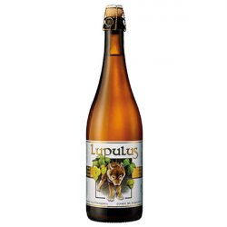 Lupulus Blonde Lupulus Blonde