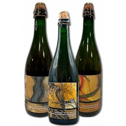 Insight Cellars Smagekasse (3 stk.)(Gns. 99,5 Kr. Pr. Øl) - A Good Case