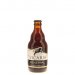 Vicaris Generaal 33cl Vicaris Generaal 33cl