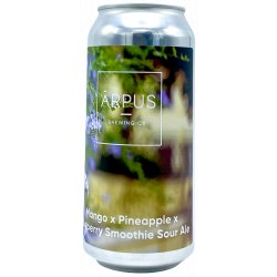 Arpus Brewing Co. Mango x Pineapple x Blueberry - ’t Biermenneke