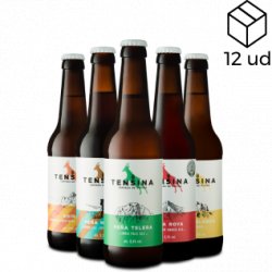 Tensina Pack de 12 cervezas artesanales variadas - Tensina