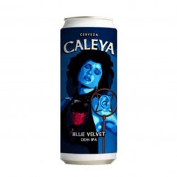Caleya Blue Velvet