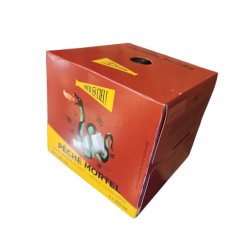 Dieu Du Ciel Péché Mortel